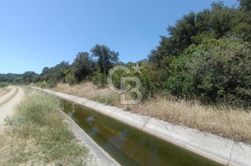 ÇANAKKALE AYVACIK BEHRAMKALE DE 25 DÖNÜM SATILIK TARLA