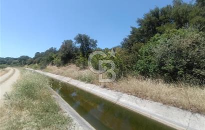 ÇANAKKALE AYVACIK BEHRAMKALE DE 25 DÖNÜM SATILIK TARLA