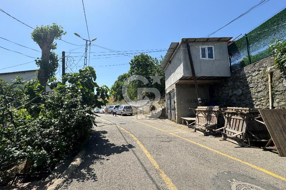 Beykoz Soğuksu Mahallesinde Konut İmarlı 1 Emsalli Satılık Hisseli Arsa