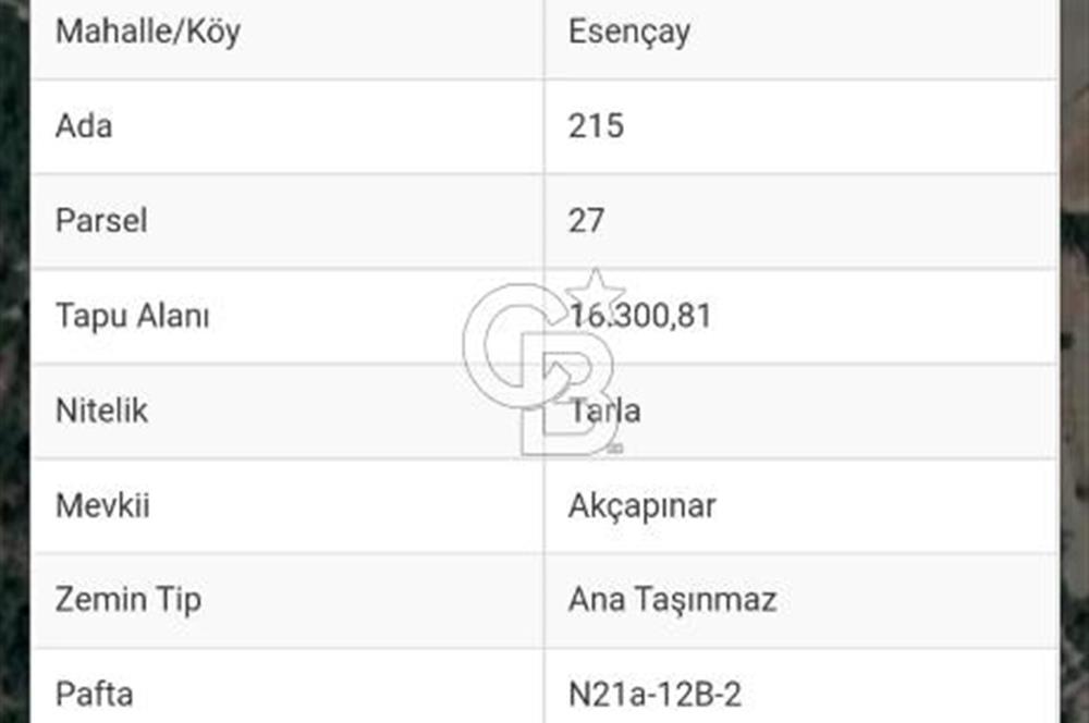 Muğla Esençay köyünde satılık muhteşem tarla