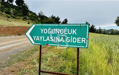 Magnificent Land for Sale in Kahramanmaraş Türkoğlu Yoğunoluk Plateau!