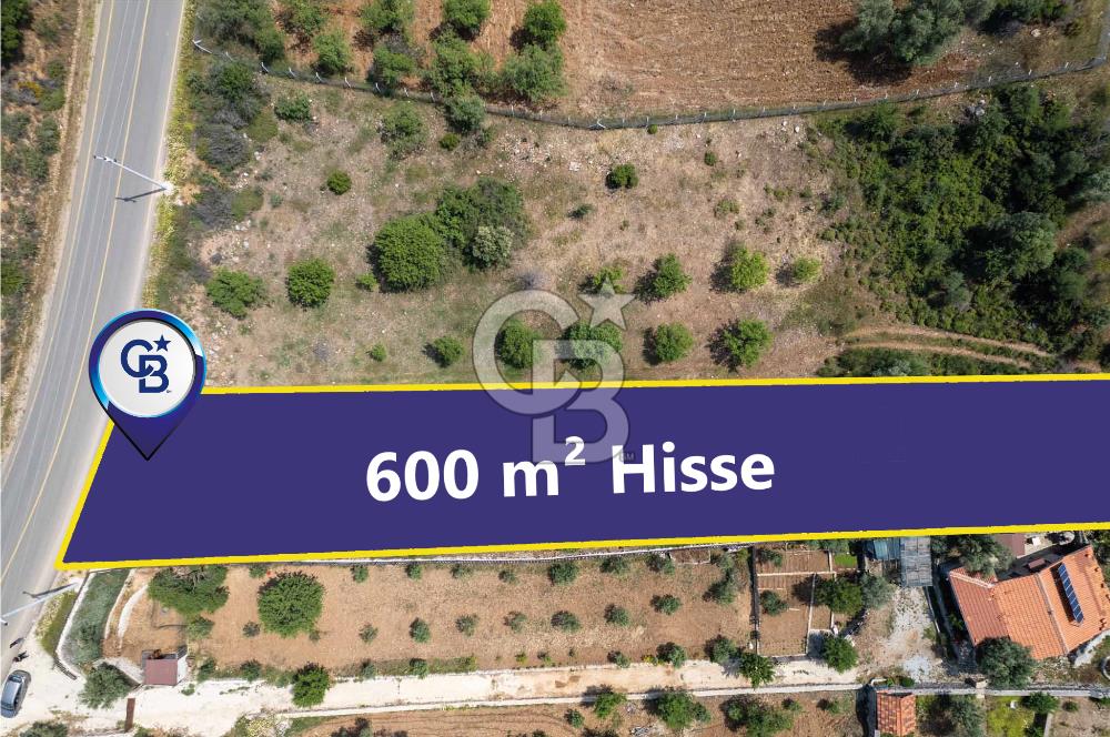 Datça Karaköy Yol Üstünde ½ Hissesi Satılık 600 m² Tarla