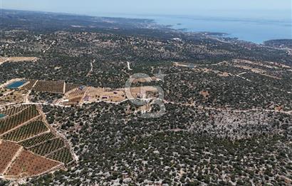 SİLİFKE NARLIKUYU MAH.PANORAMİK MANZARALI YOL CEPHELİ TARLA