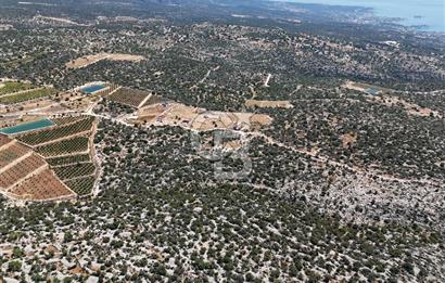 SİLİFKE NARLIKUYU MAH.PANORAMİK MANZARALI YOL CEPHELİ TARLA