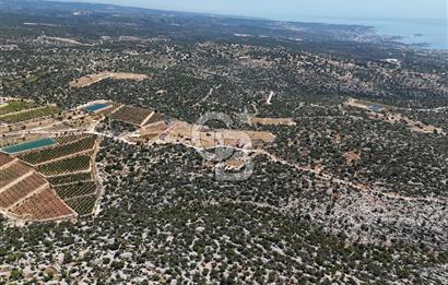 SİLİFKE NARLIKUYU MAH.PANORAMİK MANZARALI YOL CEPHELİ TARLA