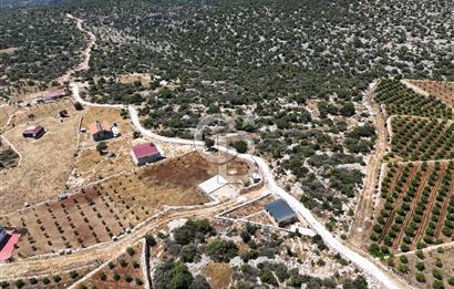 SİLİFKE NARLIKUYU MAH.PANORAMİK MANZARALI YOL CEPHELİ TARLA