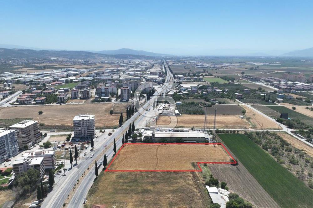 İzmir Torbalı Ayrancılar Anayol 75 metre Cepheli Satılık 7.105 m2 İmarlı Arsa