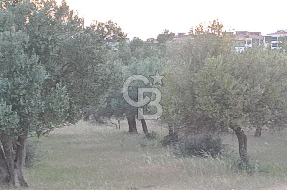 ŞEHİR MERKEZİNDE EN KIYMETLİ, EN KÂRLI,EN BÜYÜK YATIRIMLIK ARAZİ