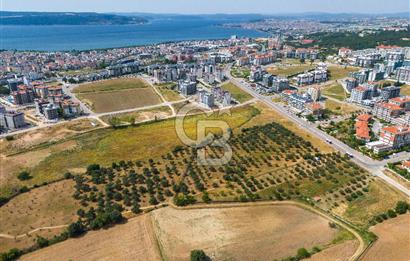 ŞEHİR MERKEZİNDE EN KIYMETLİ, EN KÂRLI,EN BÜYÜK YATIRIMLIK ARAZİ