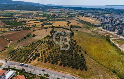 ŞEHİR MERKEZİNDE EN KIYMETLİ, EN KÂRLI,EN BÜYÜK YATIRIMLIK ARAZİ