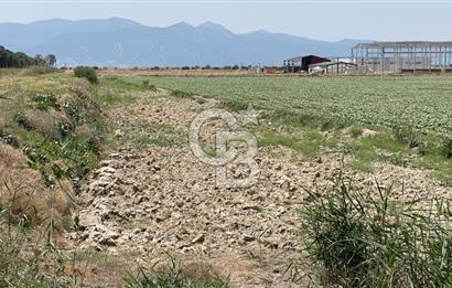 ÇİĞLİ KAKLIÇ MAHALLESİ' nde SATILIK TARLA