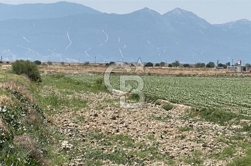 ÇİĞLİ KAKLIÇ MAHALLESİ' nde SATILIK TARLA