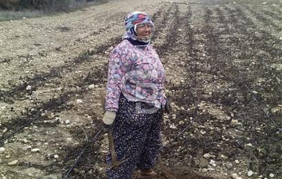 Manisa Kula İbrahimağa'da Yatırımlık Tarlalar