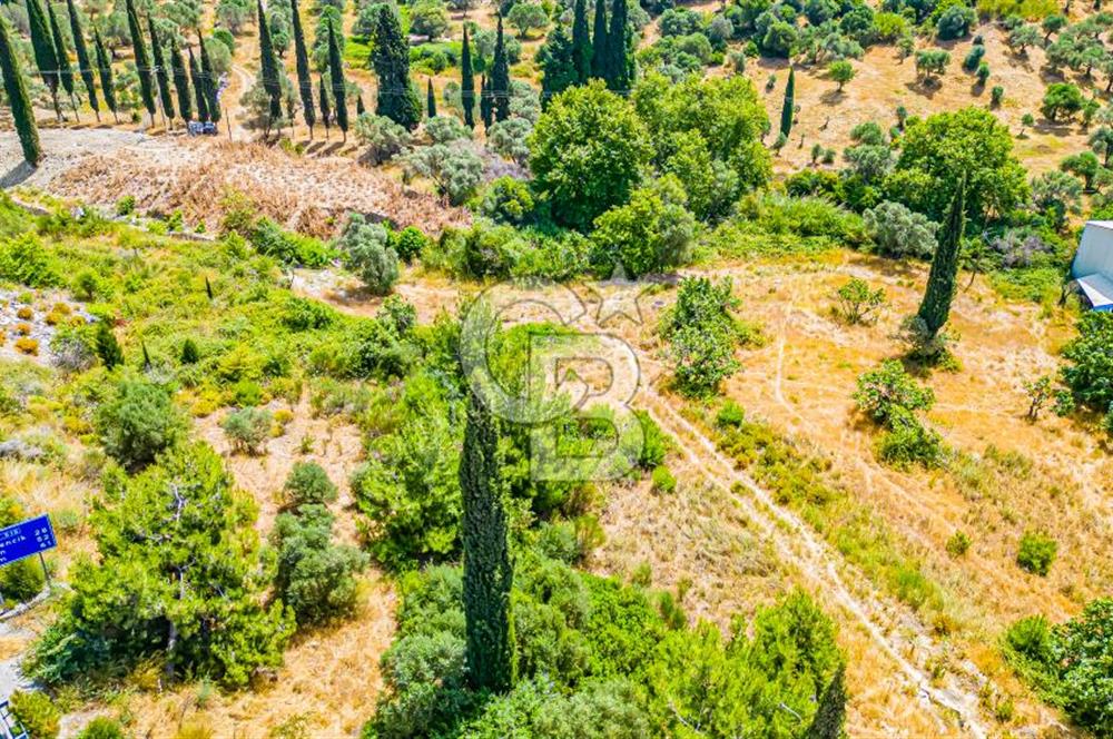 Aydın Söke Çevre Yolu Üzerinde 4.105 m2 20/60 3 Kat Konut İmarlı Satılık Arsa