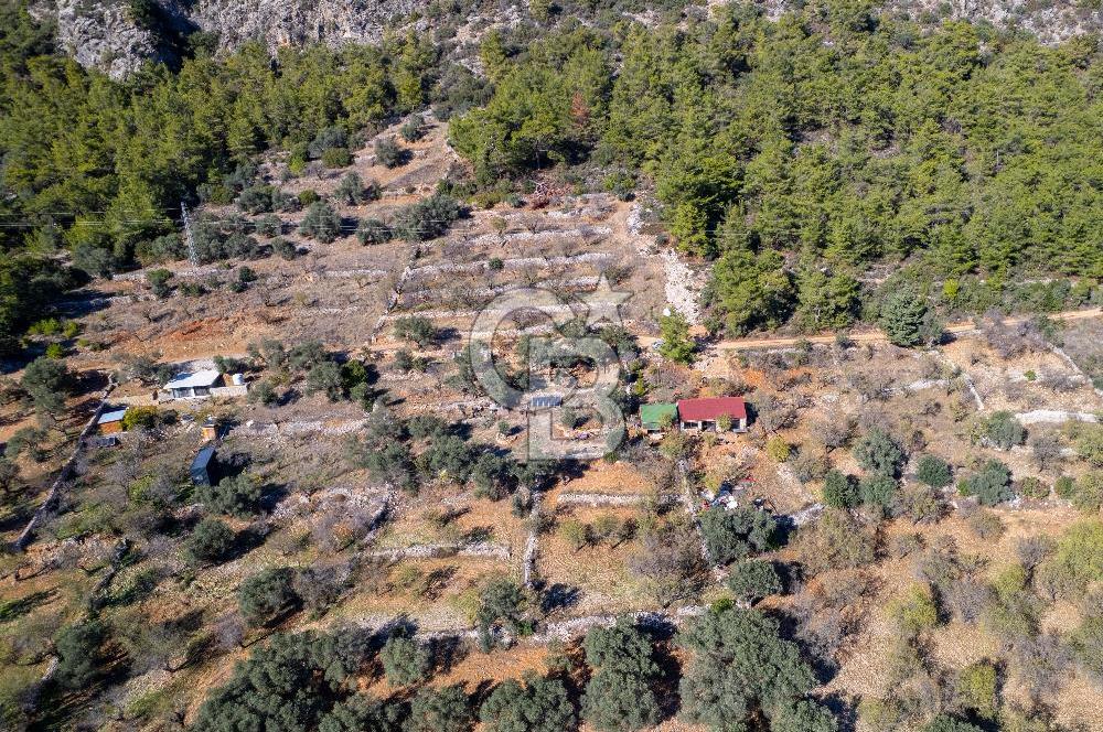 Datça Yaka Mahallesinde 783m² Bademlik Vasfında Satılık Tarla