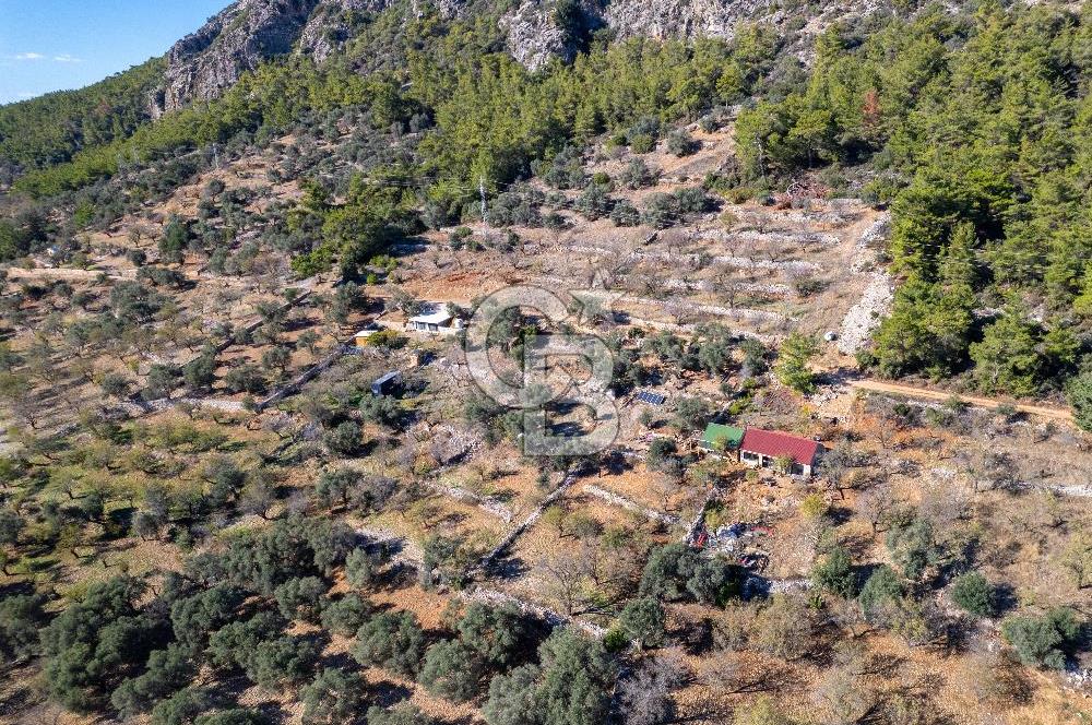 Datça Yaka Mahallesinde 783m² Bademlik Vasfında Satılık Tarla