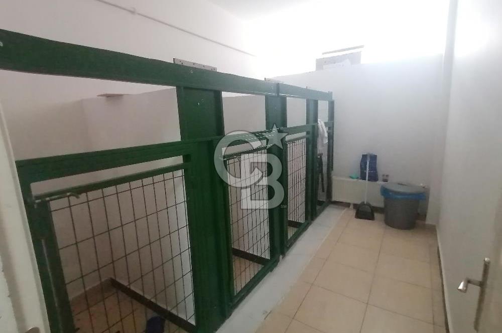 Cengizhan Mahallesinde Devren Kiralık 180 m2 Veteriner Kliniği 