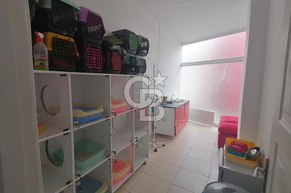 Cengizhan Mahallesinde Devren Kiralık 180 m2 Veteriner Kliniği 