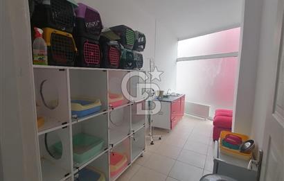 Cengizhan Mahallesinde Devren Kiralık 180 m2 Veteriner Kliniği 