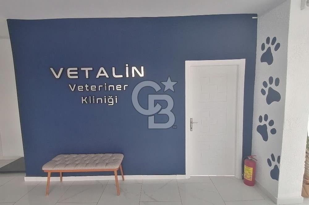 Cengizhan Mahallesinde Devren Kiralık 180 m2 Veteriner Kliniği 