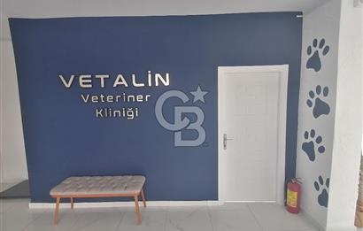 Cengizhan Mahallesinde Devren Kiralık 180 m2 Veteriner Kliniği 