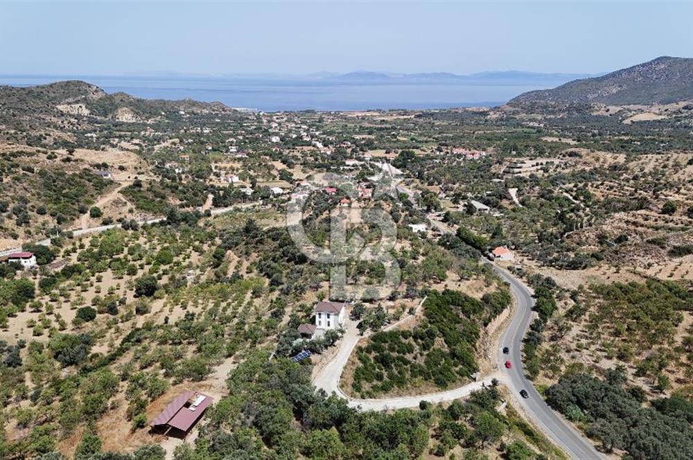 Datça Karaköy Karios Marinaya yakın 5825m²arazi İçinde Lux Villa