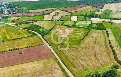 ÇANAKKALE BİGA AYITDERE'DE 20 DÖNÜM YOLA CEPHE FIRSAT TARLA 