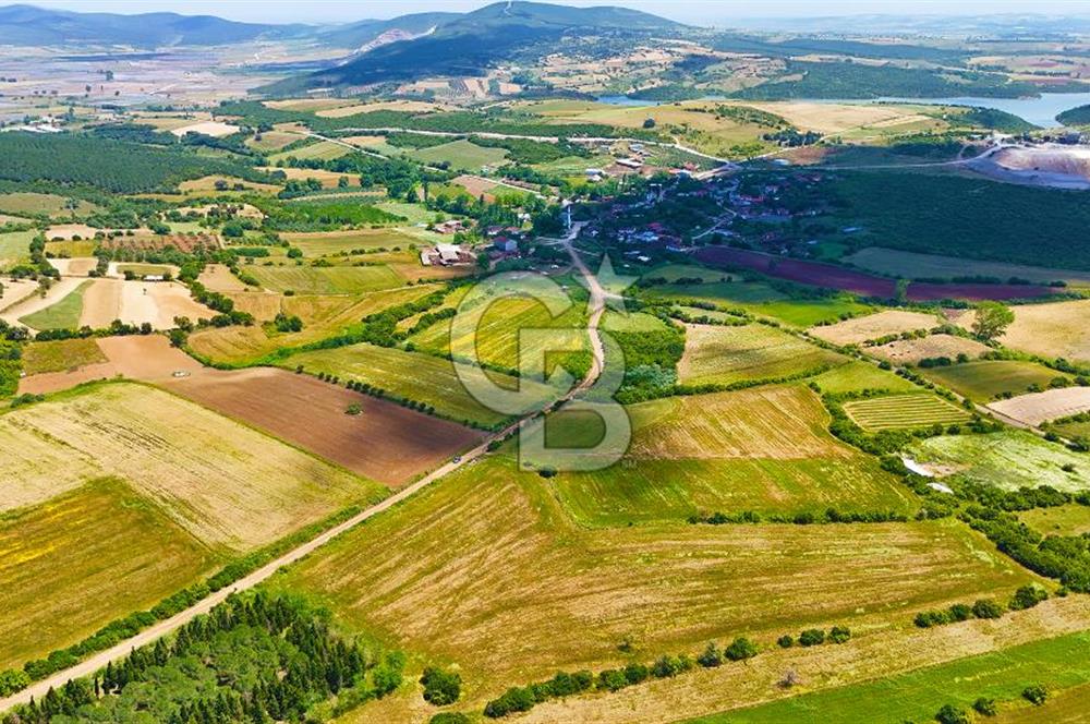 ÇANAKKALE BİGA AYITDERE'DE 20 DÖNÜM YOLA CEPHE FIRSAT TARLA 