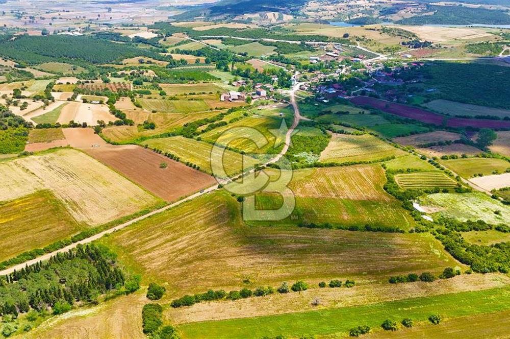 ÇANAKKALE BİGA AYITDERE'DE 20 DÖNÜM YOLA CEPHE FIRSAT TARLA 