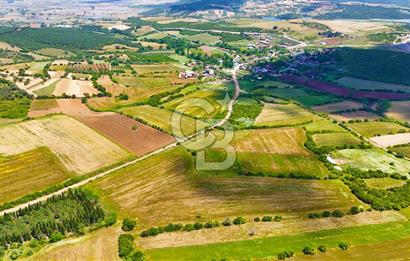 ÇANAKKALE BİGA AYITDERE'DE 20 DÖNÜM YOLA CEPHE FIRSAT TARLA 