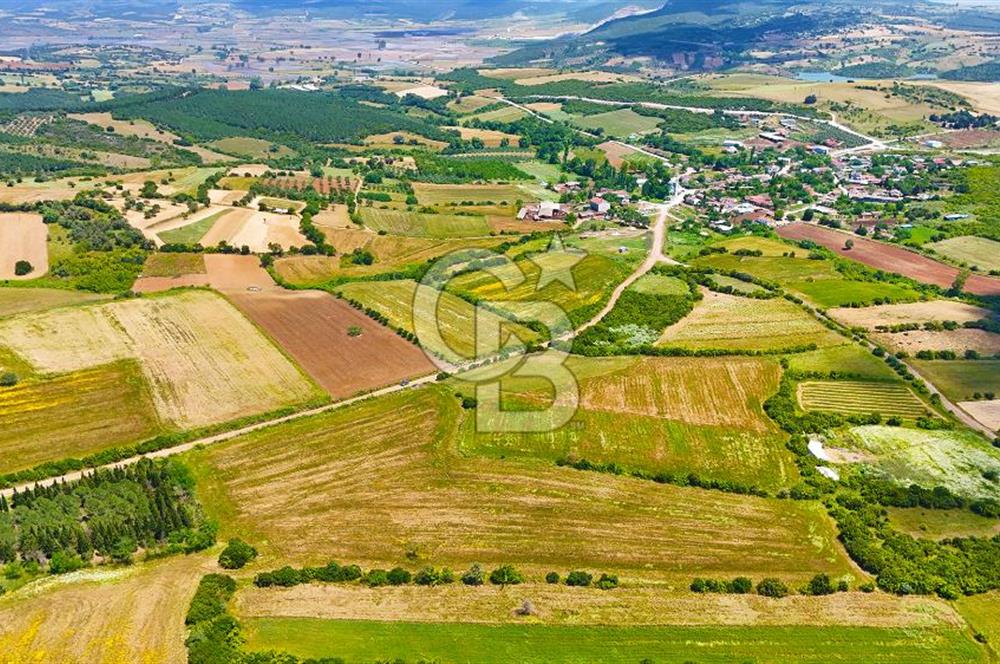 ÇANAKKALE BİGA AYITDERE'DE 20 DÖNÜM YOLA CEPHE FIRSAT TARLA 