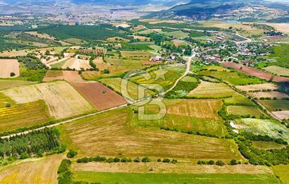 ÇANAKKALE BİGA AYITDERE'DE 20 DÖNÜM YOLA CEPHE FIRSAT TARLA 