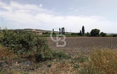 ÇANAKKALE MERKEZ MUSAKÖY'DE SATILIK 15 DÖNÜM TARLA!