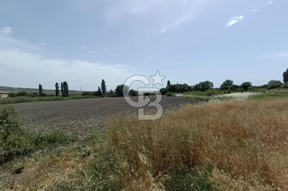 ÇANAKKALE MERKEZ MUSAKÖY'DE SATILIK 15 DÖNÜM TARLA!