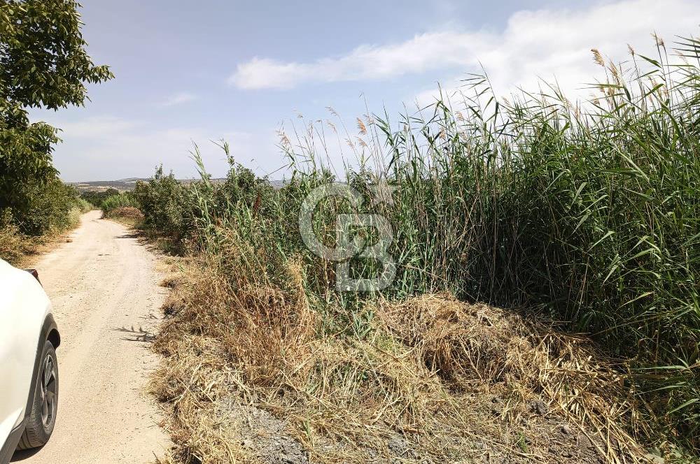 ÇANAKKALE MERKEZ MUSAKÖY'DE SATILIK 15 DÖNÜM TARLA!