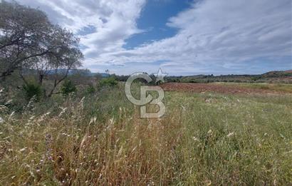 Muğla Merkez’de Satılık Tarla