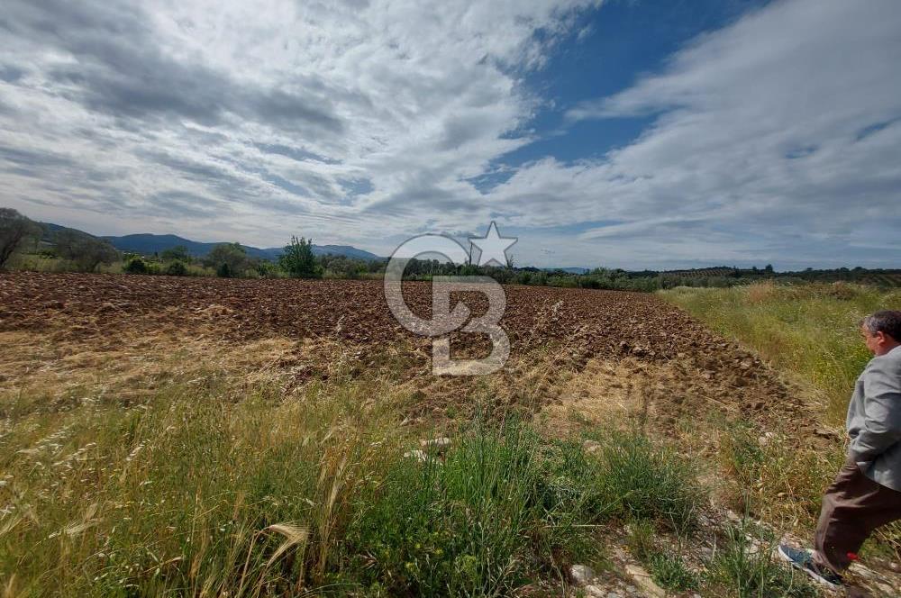 Muğla Merkez’de Satılık Tarla