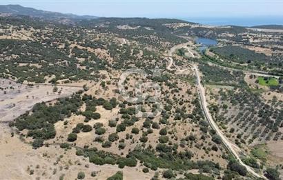 ÇANAKKALE AYVACIK BEHRAMKALE DE 25 DÖNÜM SATILIK TARLA