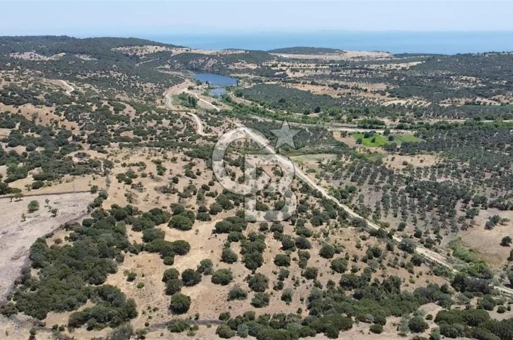 ÇANAKKALE AYVACIK BEHRAMKALE DE 25 DÖNÜM SATILIK TARLA