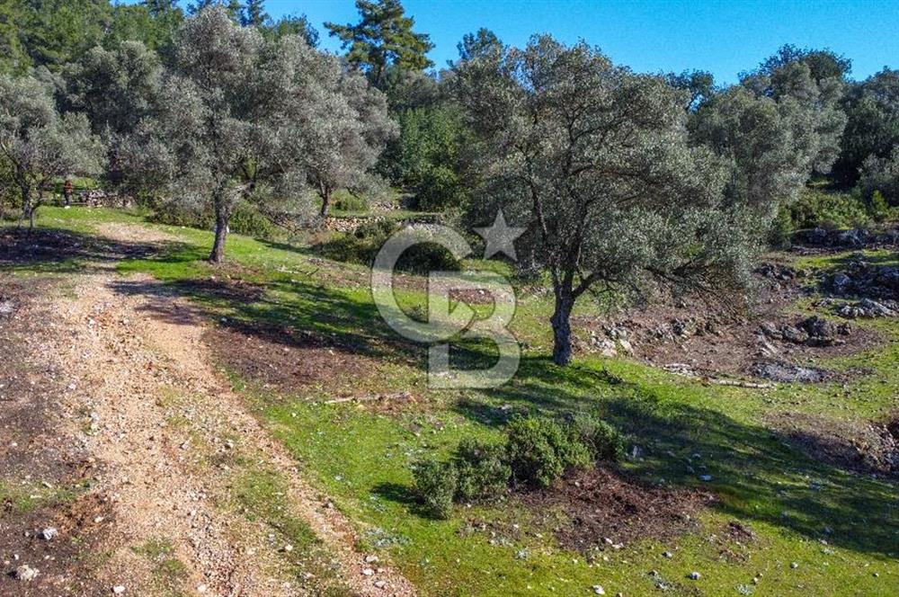 Bodrum Yalıçiftlik'te Satılık Yol Üzeri 1 Dönüm Parsel