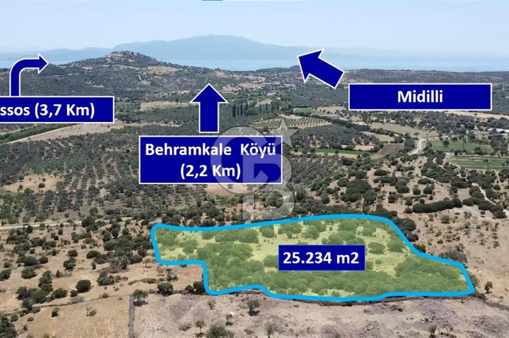 ÇANAKKALE AYVACIK BEHRAMKALE DE 25 DÖNÜM SATILIK TARLA