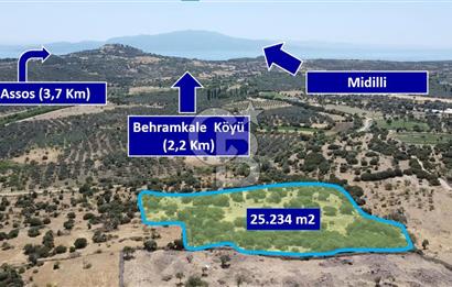 ÇANAKKALE AYVACIK BEHRAMKALE DE 25 DÖNÜM SATILIK TARLA