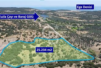 ÇANAKKALE AYVACIK BEHRAMKALE DE 25 DÖNÜM SATILIK TARLA