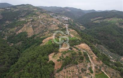 KAVACIK'TA ANAYOL ÜZERİNDE MUHTEŞEM YATIRIMLIK ARAZİ