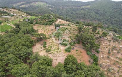 KAVACIK'TA ANAYOL ÜZERİNDE MUHTEŞEM YATIRIMLIK ARAZİ