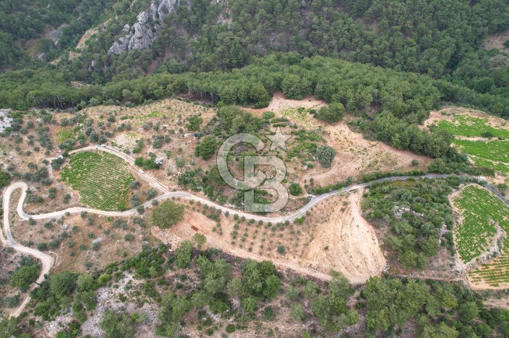 KAVACIK'TA ANAYOL ÜZERİNDE MUHTEŞEM YATIRIMLIK ARAZİ