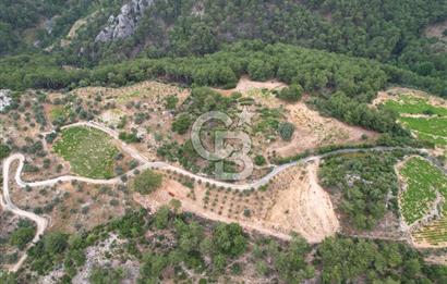 KAVACIK'TA ANAYOL ÜZERİNDE MUHTEŞEM YATIRIMLIK ARAZİ