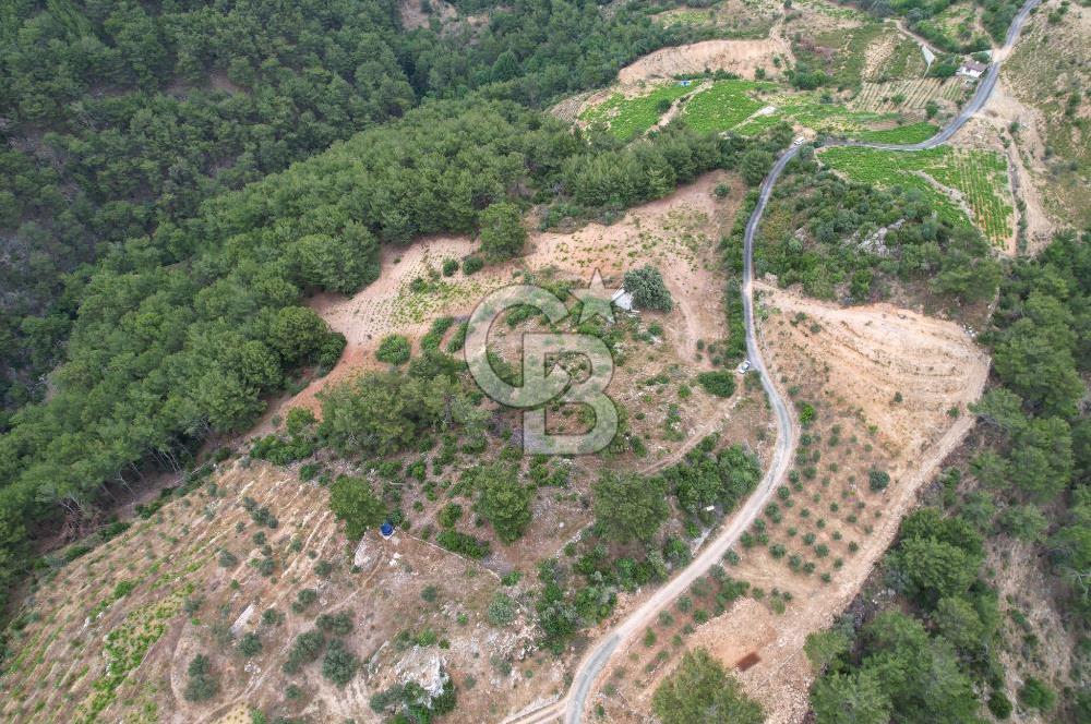 KAVACIK'TA ANAYOL ÜZERİNDE MUHTEŞEM YATIRIMLIK ARAZİ