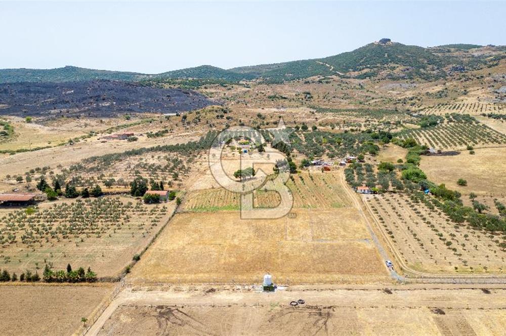 Yenifoça Fevzi Çakmak Bucak Mevkiinde Satılık Hisseli Tarla