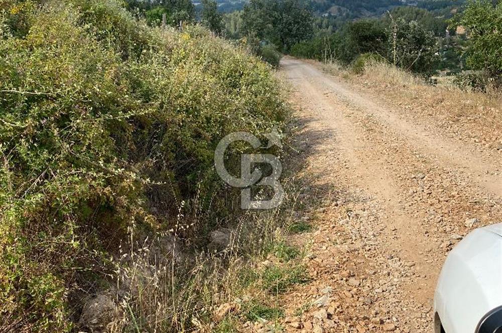 Muğla menteşe yenibağyaka’da Satılık Tarla